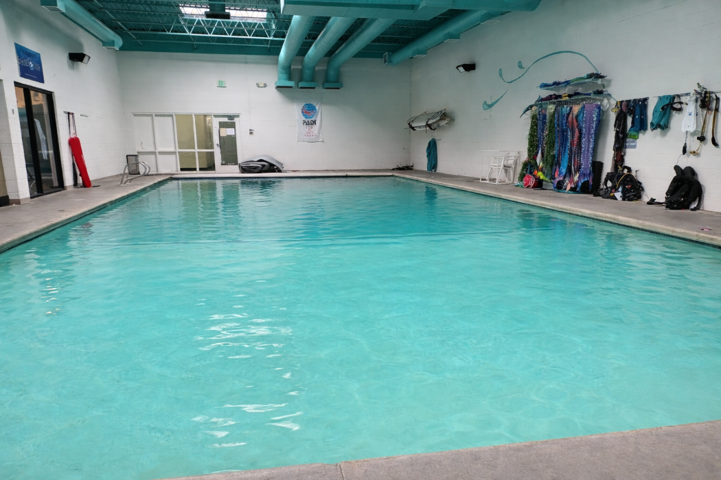 Dive Magic Swimming Pool